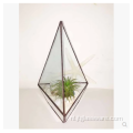 Vierkante glazen plantenbak in terrariumstijl